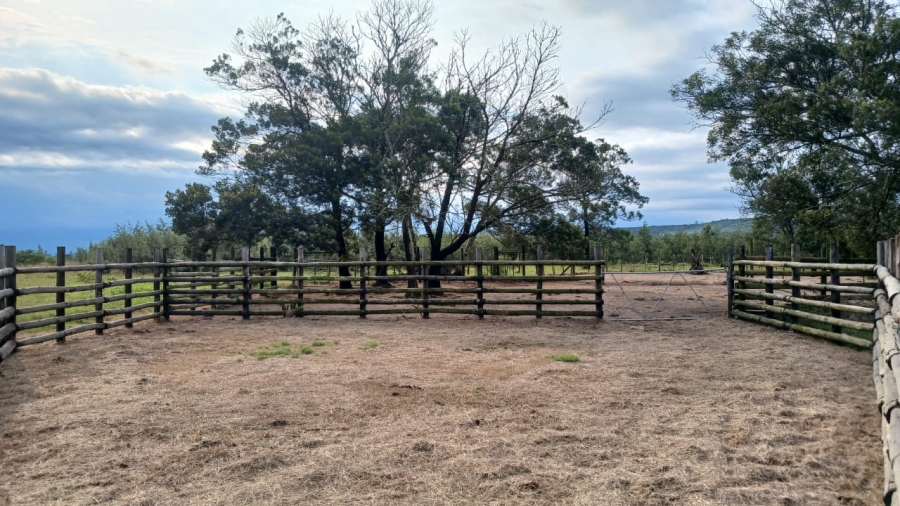 Commercial Property for Sale in Bathurst Rural Eastern Cape